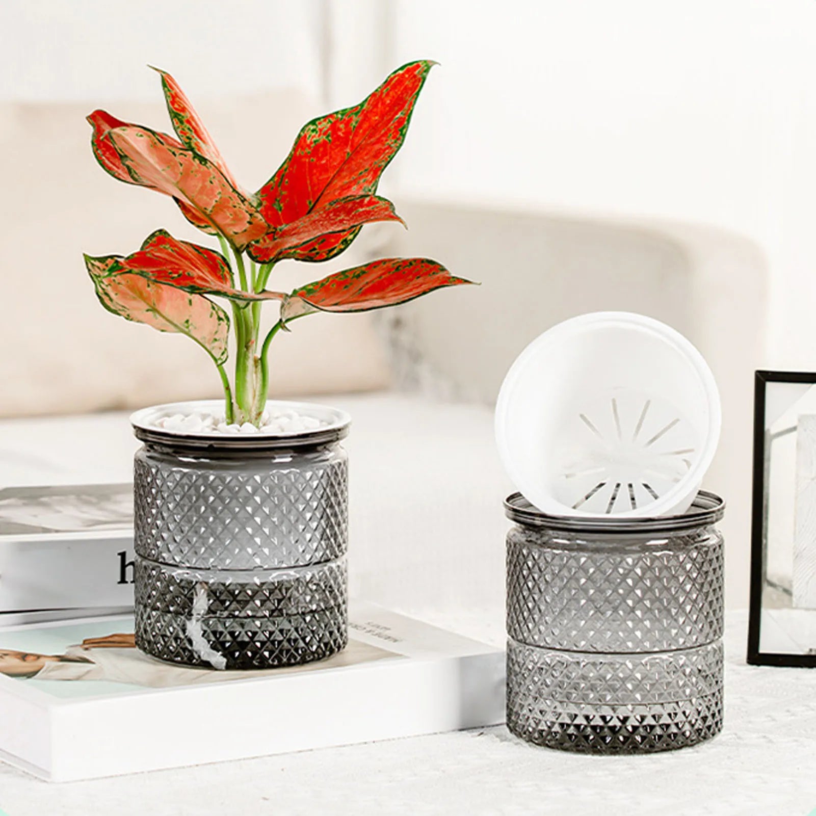 S07296685f48f4583ab3bfdcfe834d3a1o