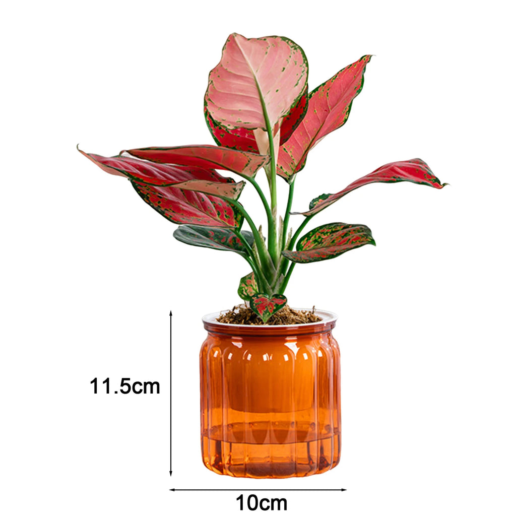 S4b9da57422b34be9816d266696b5e336H